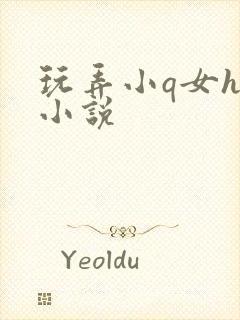 玩弄小q女h文小说