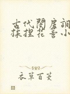 古代闺房调教h揉捏花蒂小说封面