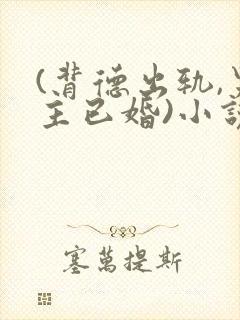 (背德出轨,男主已婚)小说封面