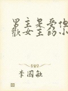 男主是受但是喜欢女主的小说