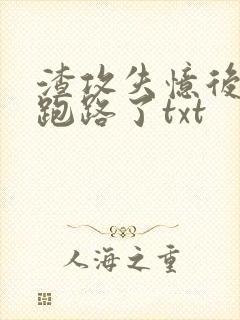 渣攻失忆后替身跑路了txt