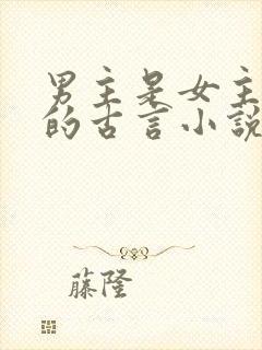 男主是女主夫子的古言小说