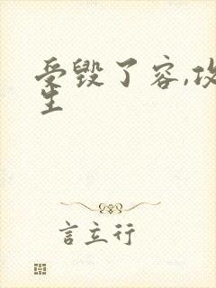 受毁了容,攻重生封面