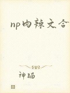 np肉辣文合集