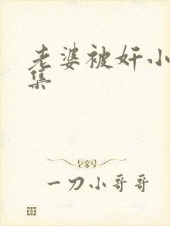 老婆被奸小说合集