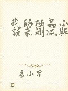 我的极品小姨小说未删减版封面