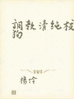 调教清纯校花母狗
