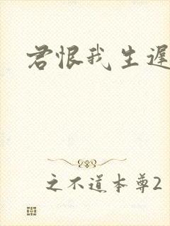 君恨我生迟全诗封面