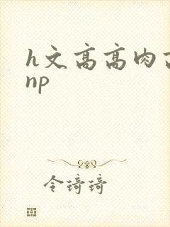 h文高高肉高辣np