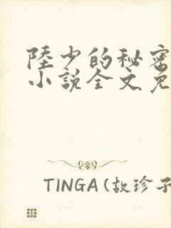 陆少的秘密恋人小说全文免费阅读