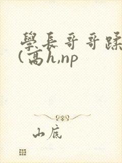 学长哥哥蹂躏你(高h,np