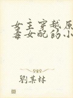 女主穿越原耽恶毒女配的小说封面