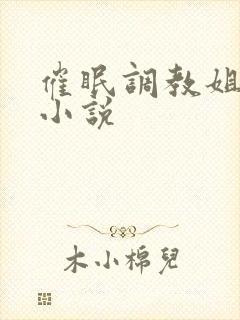 催眠调教姐姐的小说