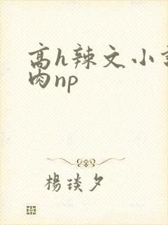 高h辣文小说纯肉np封面