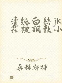 清纯白丝jk校花被调教小说封面