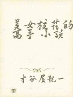 美女校花的终极高手 小说