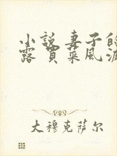 小说 妻子的暴露 买菜风波封面