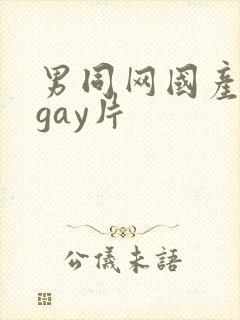 男同网国产原创gay片封面