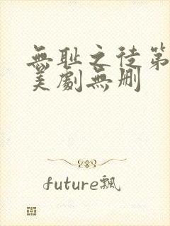 无耻之徒第一季美剧无删