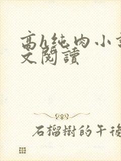 高h纯肉小说全文阅读