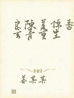 良陈美锦番外陈玄青重生