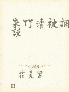 朱竹清被调教小说封面