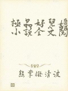 极品好儿媳苏媚小说全文阅读