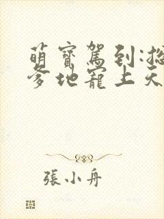 萌宝驾到:总裁爹地宠上天