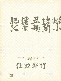 肥猪丑攻雌堕人父笔趣阁小说