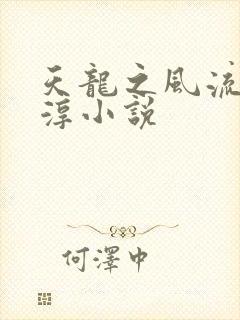 天龙之风流段正淳小说