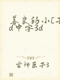 善良的小[子hd中字3d封面