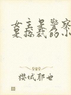 女主是警察男主是总裁的小说封面