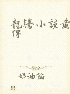 龙腾小说黄蓉外传封面