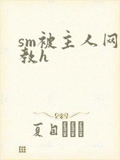 sm被主人网调教h封面