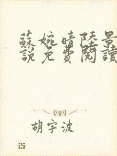 苏婉晴陆景川小说免费阅读最新章节封面