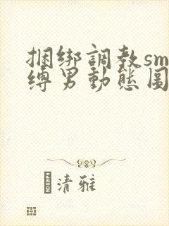 捆绑调教sm束缚男动态图