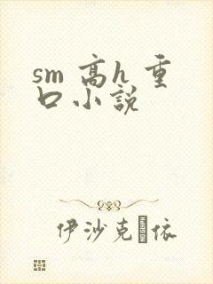 sm 高h 重口小说