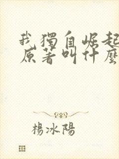 我独自崛起小说原著叫什么封面