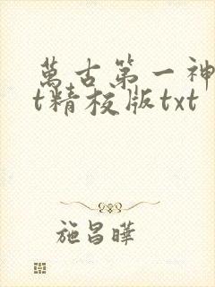 万古第一神txt精校版txt