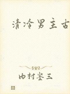 清冷男主古言