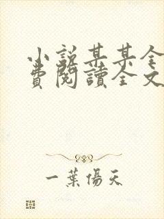 小说某某全文免费阅读全文