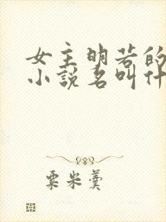 女主明若的穿越小说名叫什么