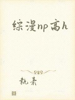 综漫np高h