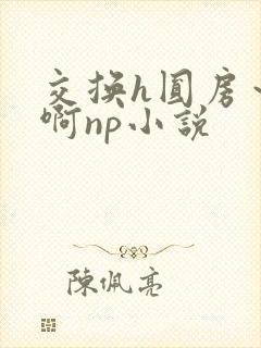 交换h圆房～嗯啊np小说