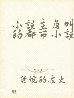 小说主角叫李宇的都市小说