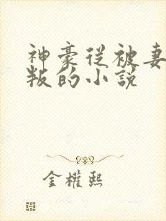 神豪从被妻子背叛的小说