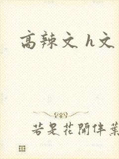 高辣文 h文