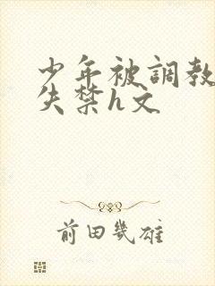 少年被调教爽到失禁h文