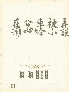 在公车被弄得高潮呻吟小说