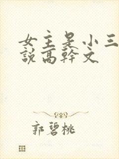 女主是小三的小说高干文